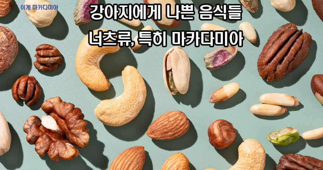 강아지에게 나쁜 음식들, 강아지에게 해로운 음식들