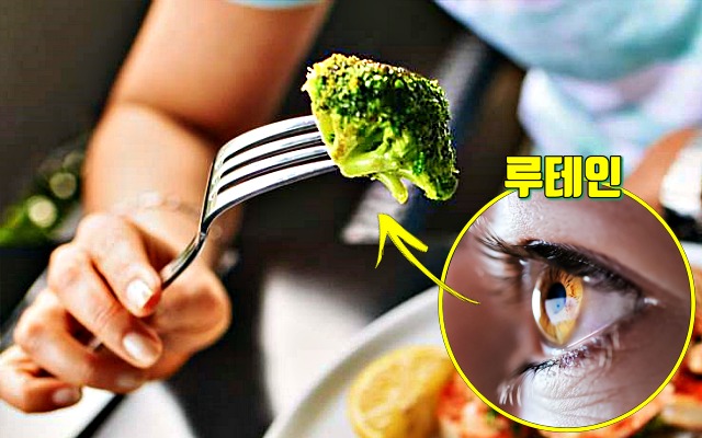 황반변성 증상 원인,눈에 좋은 음식 채소