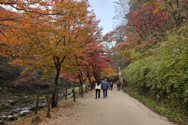 강천산7