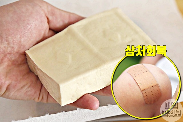 비만세균 잡는 프롤린유산균 많은 음식,두부