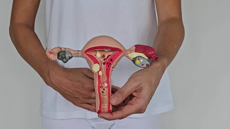 가다실9 가격 얼마나 될까? 실제 비용과 할인 병원 찾는 방법!