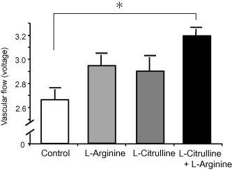 시트룰린 아르기닌 병용시 혈류 개선 효과 증가