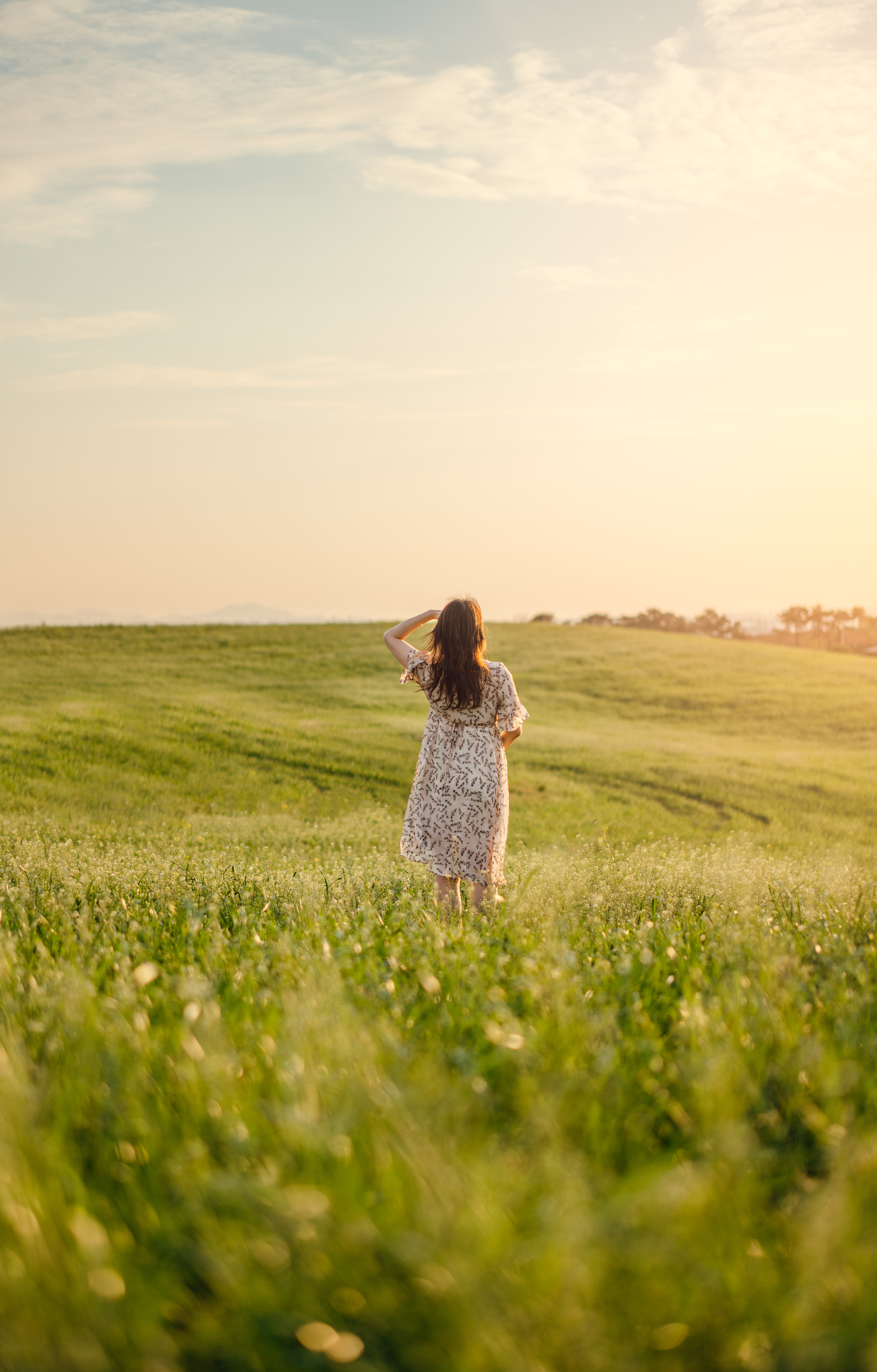 안성목장 호밀밭