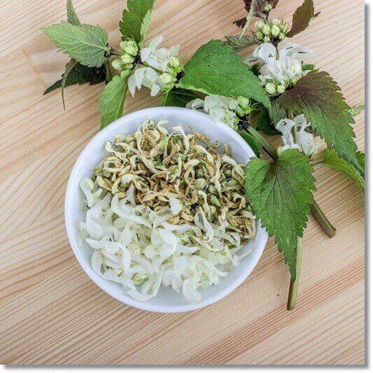 쐐기풀과 허브차