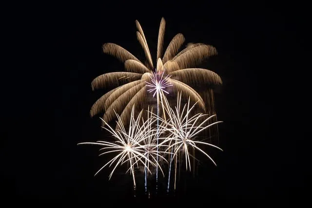 2025 9월 동행축제 개막!