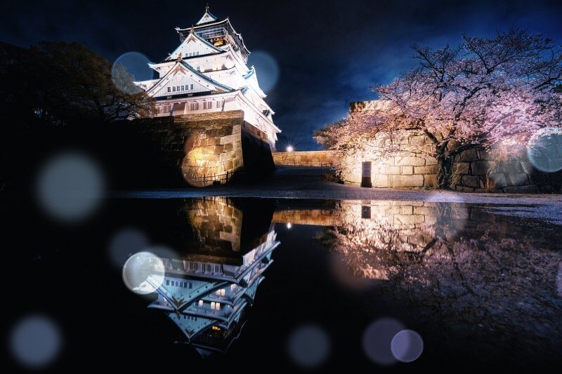 일본-오사카성에-핀-벚꽃