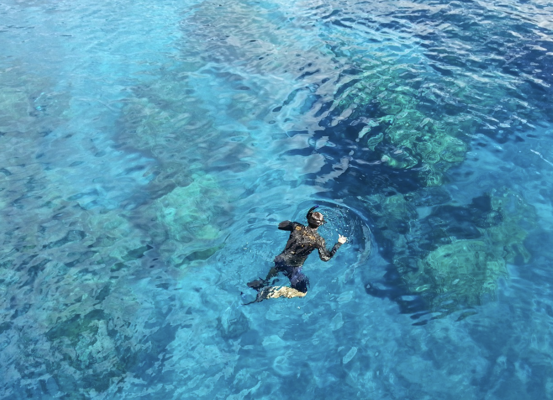 스노쿨하는 사람