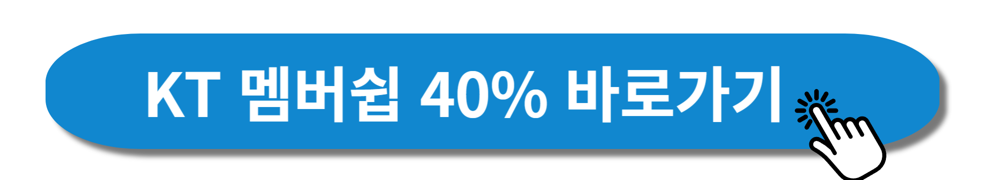 에버랜드 자유이용권 할인 사진