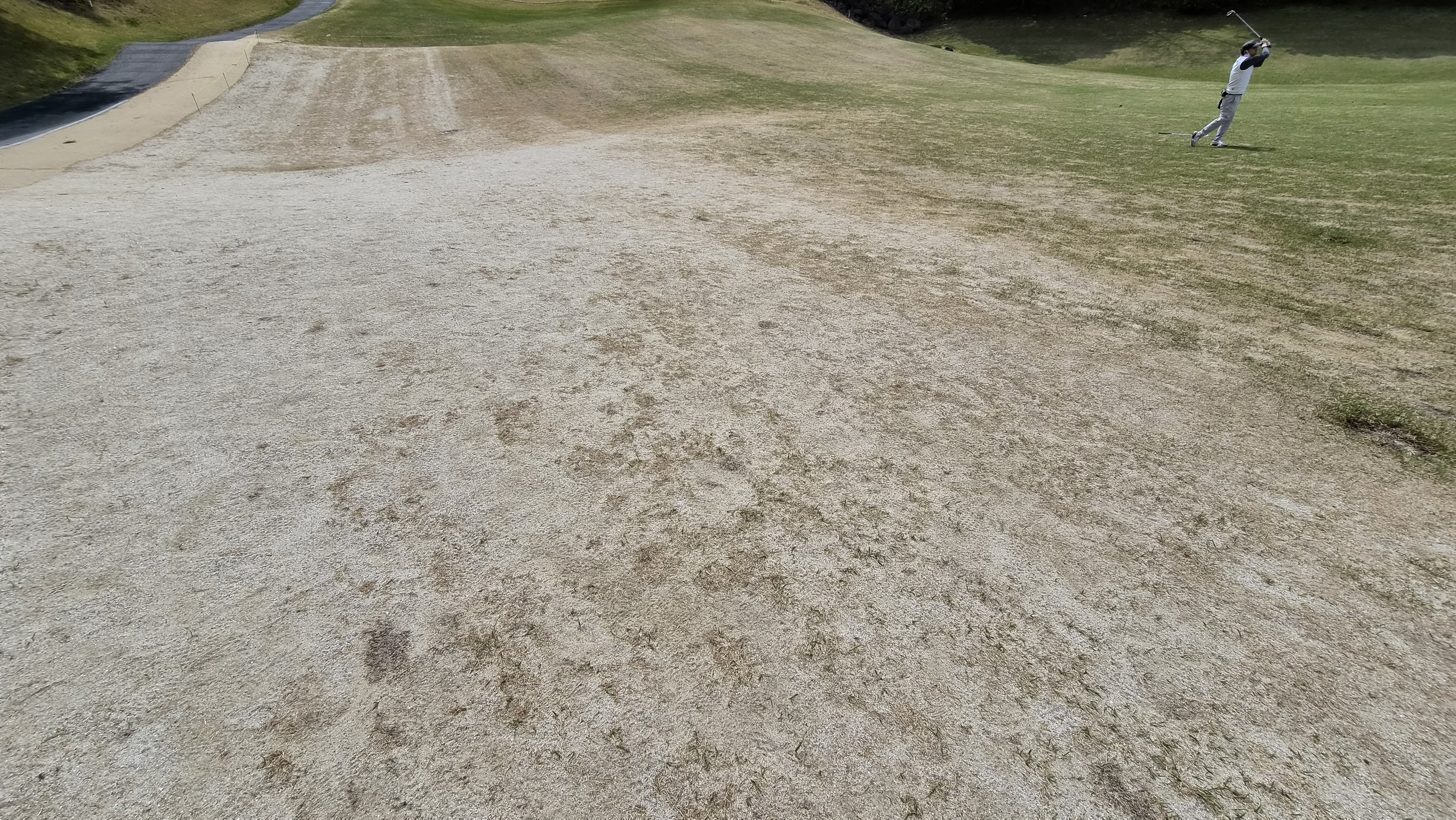 포웰cc 프린세스 라운드 후기