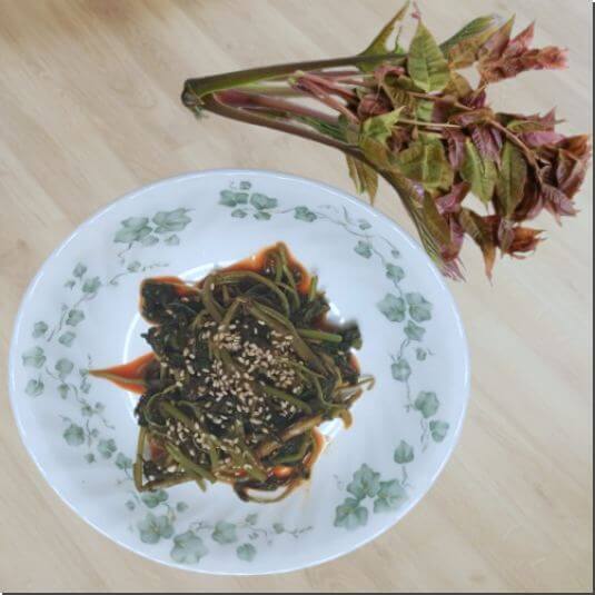 가죽나물 효능 및 좋은 이유&#44; 고추장 장아찌 만드는 법