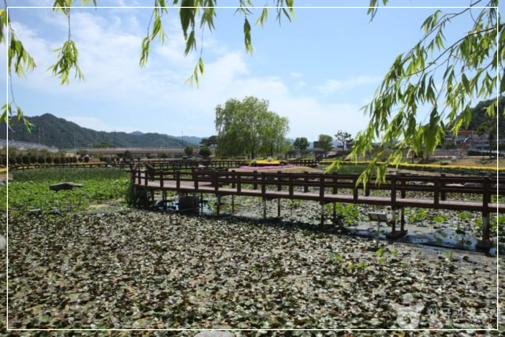 장흥 가볼만한곳 베스트10 탐진강 생태습지원