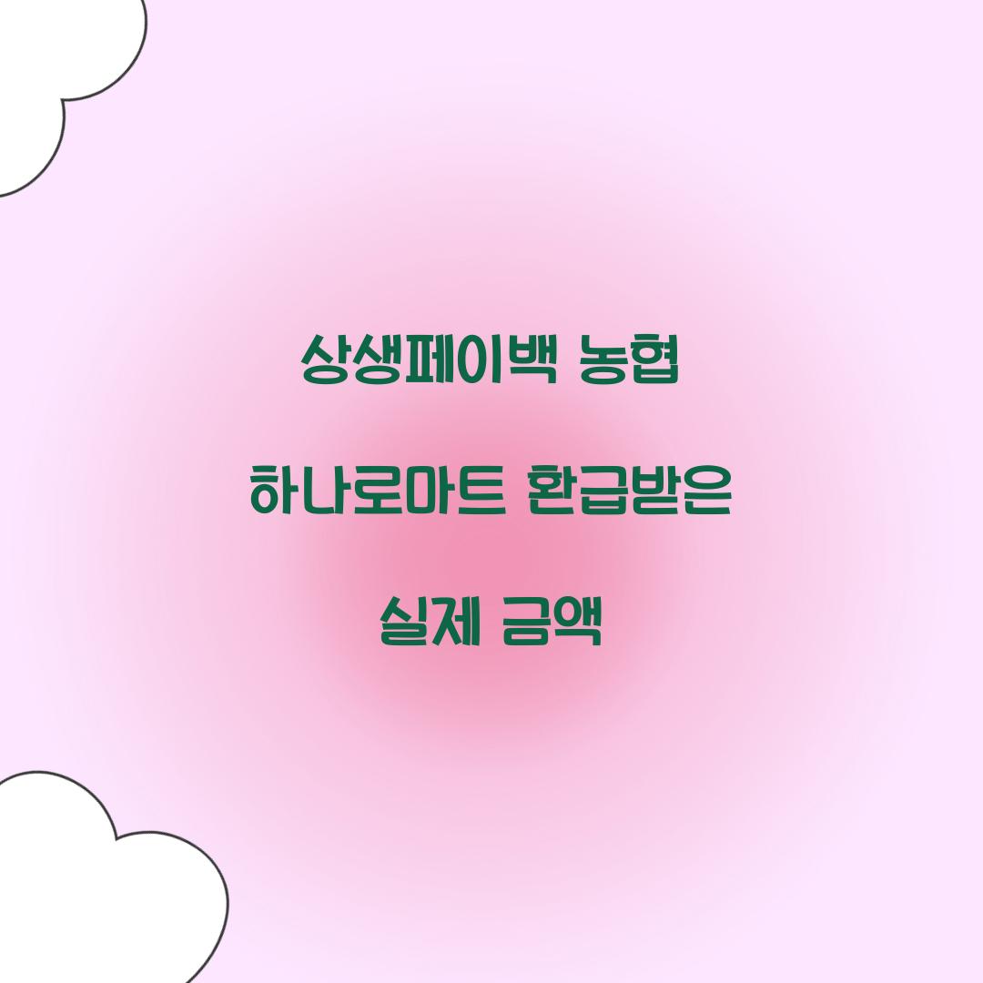 상생페이백 농협 하나로마트 환급받은 실제 금액