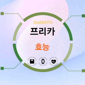 프리카 효능 탐구