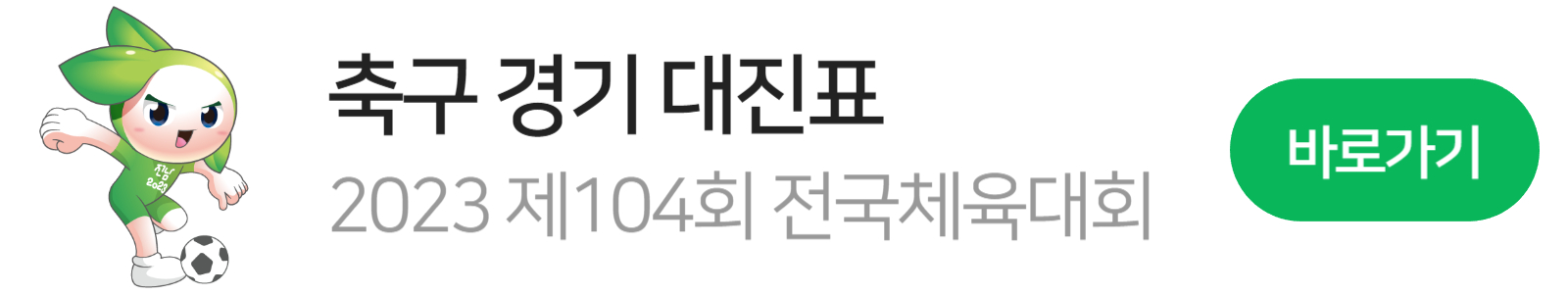 축구 마스코트14