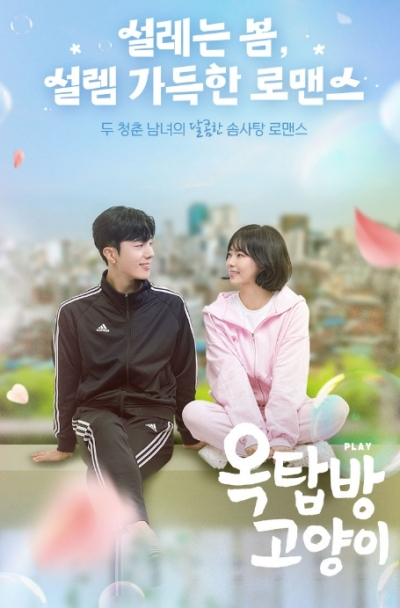 옥탑방 고양이