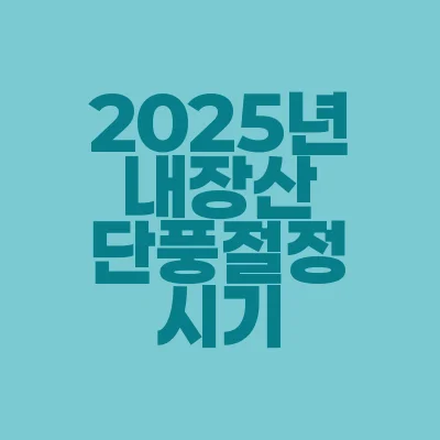 썸네일-2025년-내장산-단풍절정시기