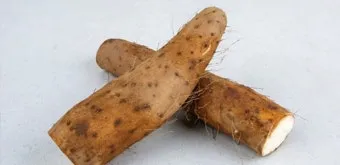 마 효능 보관법 먹는법 마즙 만들기까지 종합 가이드_16