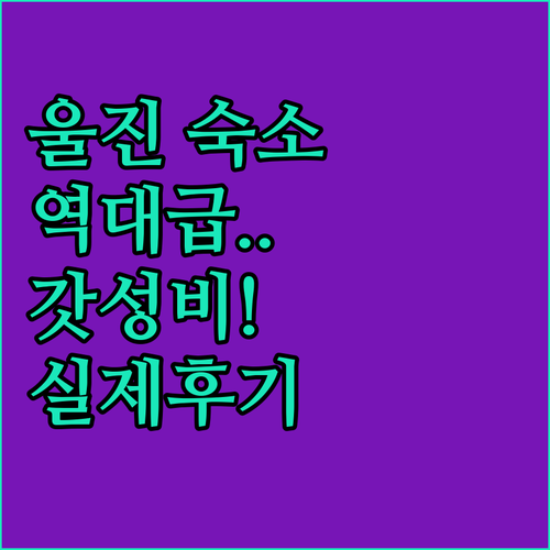 경상북도 울진 가성비 숙소 비교 분석..