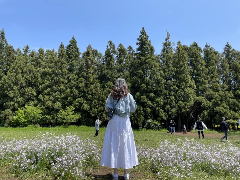 안돌오름-비밀의숲-꽃이핀-들판