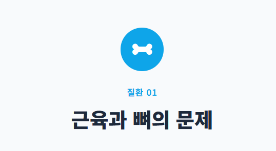 오른쪽 등 통증 의심되는 병