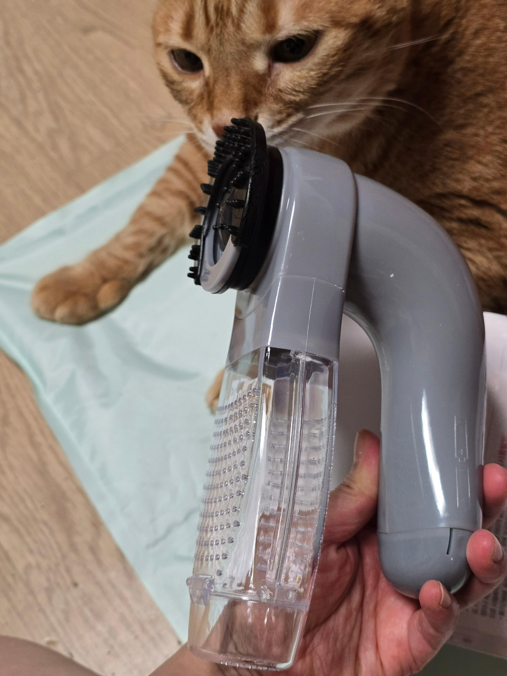 다이소 반려동물 전동 털 흡입기2