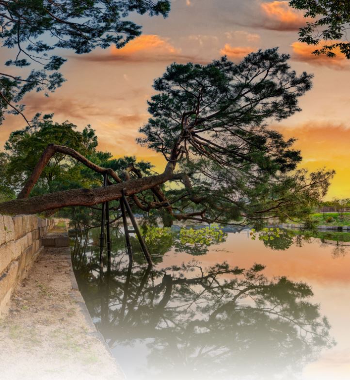 설 연휴 서울 가볼만한 곳 - 경복궁