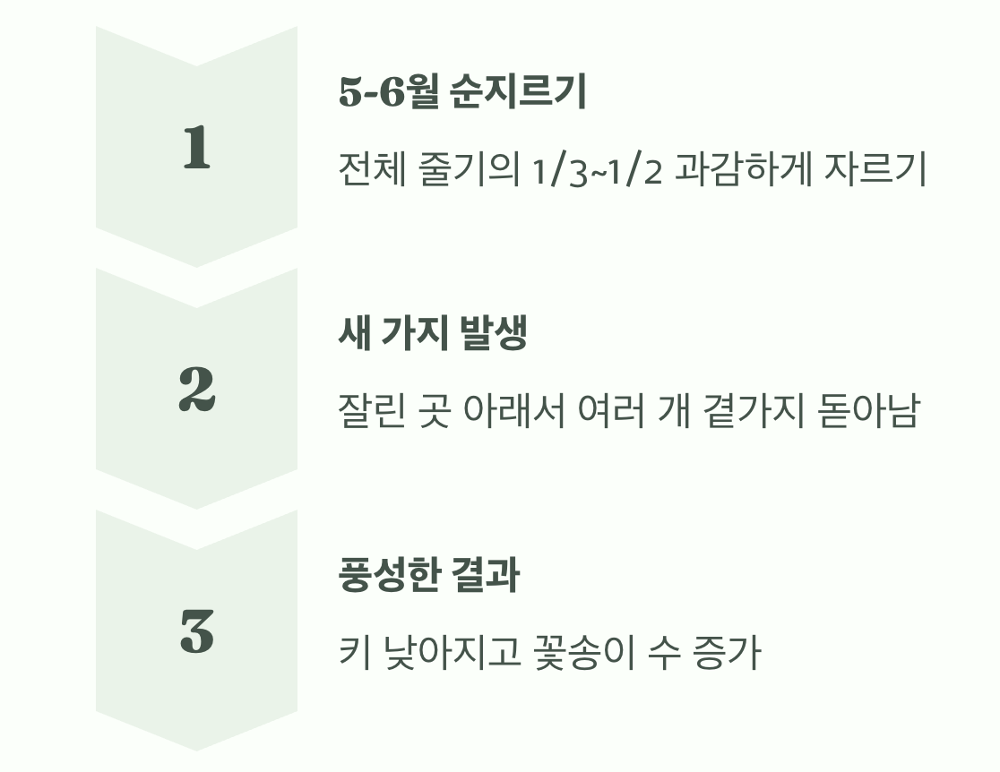 쓰러짐 방지, '순지르기'의 마법