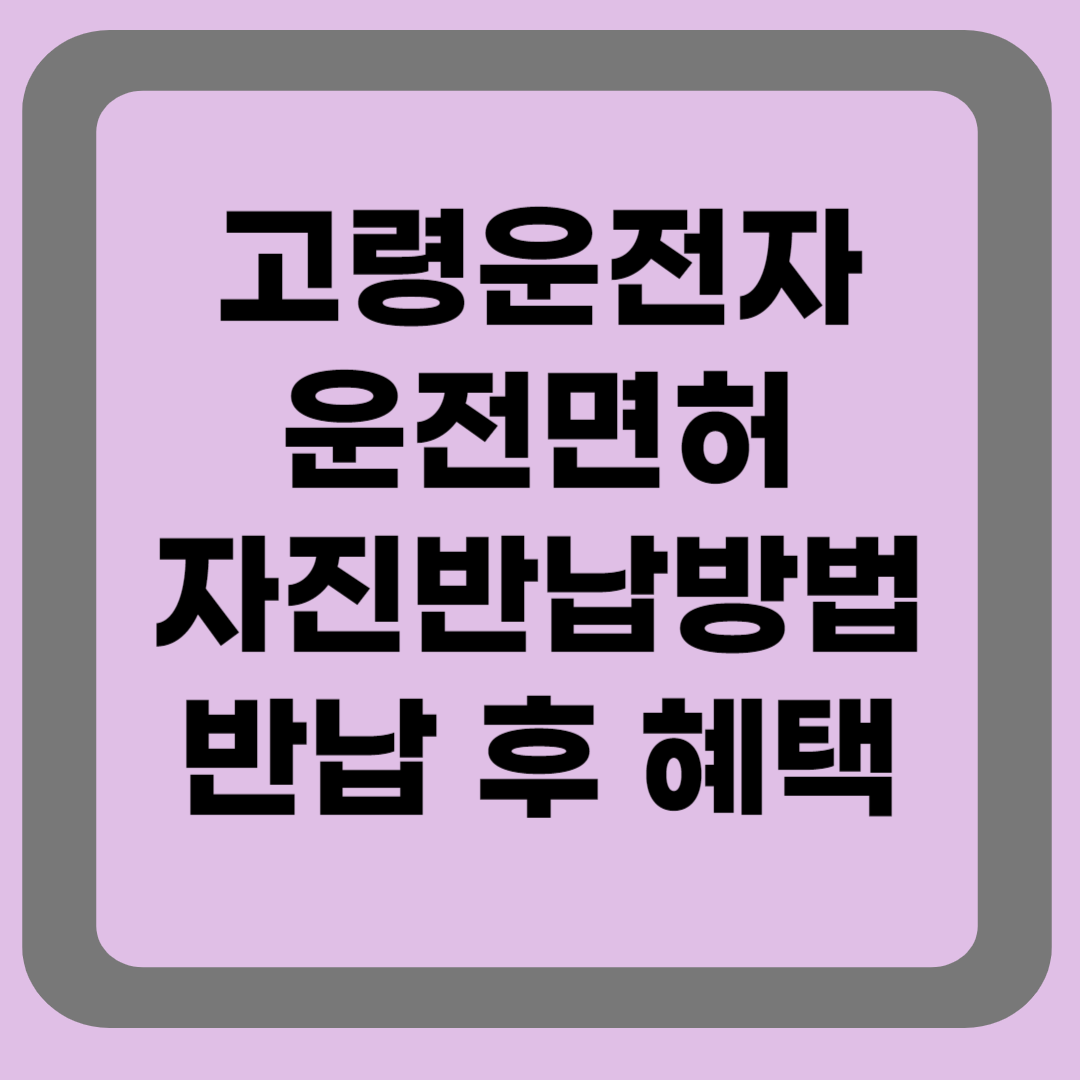 고령운전자 운전면허 반납방법
