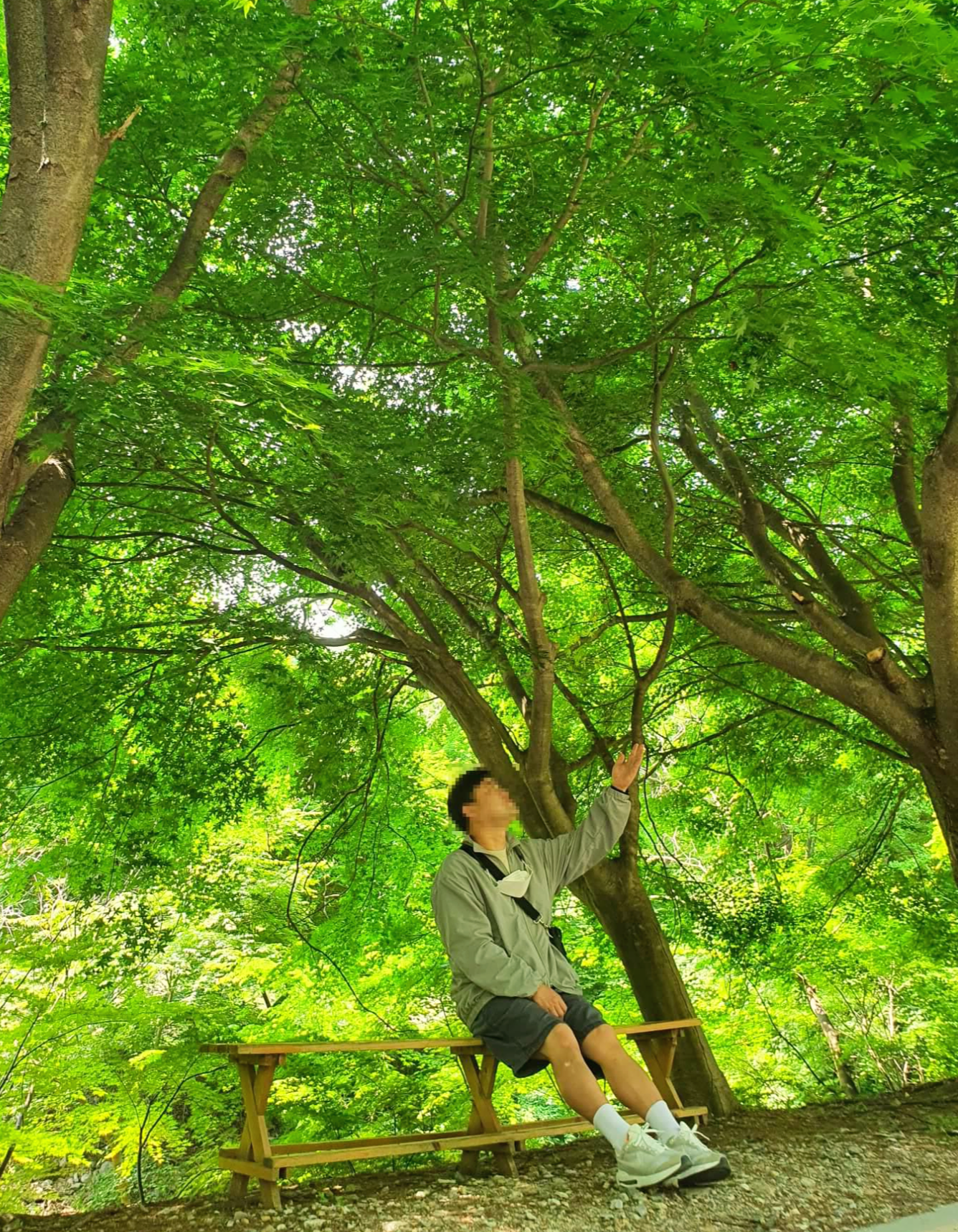 미리내성지 산책길 의자