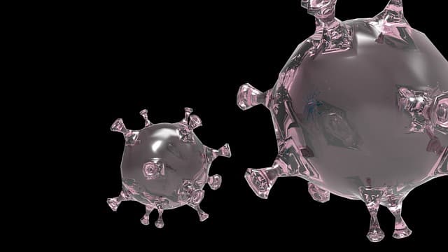 스마트폰 중독과 면역력 저하: 스트레스와 뇌-신체 연결