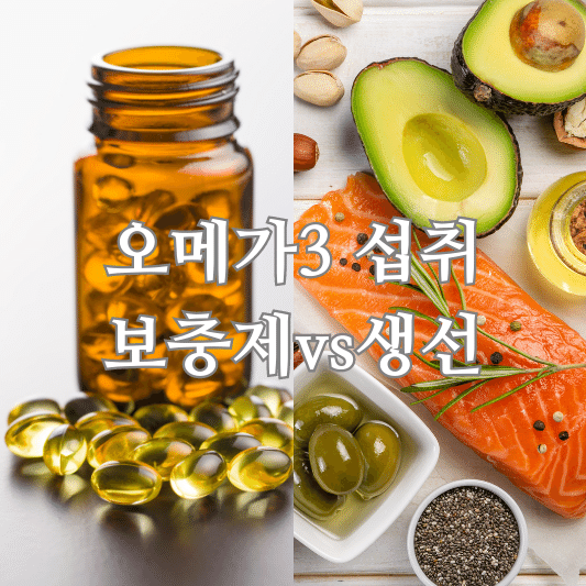 오메가3 섭취방법 보충제 생선