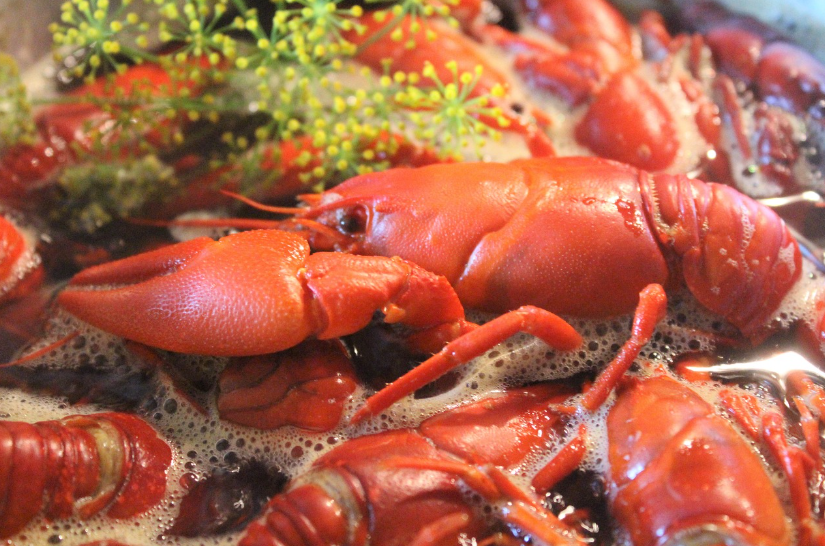 ๋ํธ๋ ํด๋ฌผ์๋ฆฌ ๊ด๋ จ ์ด๋ฏธ์ง