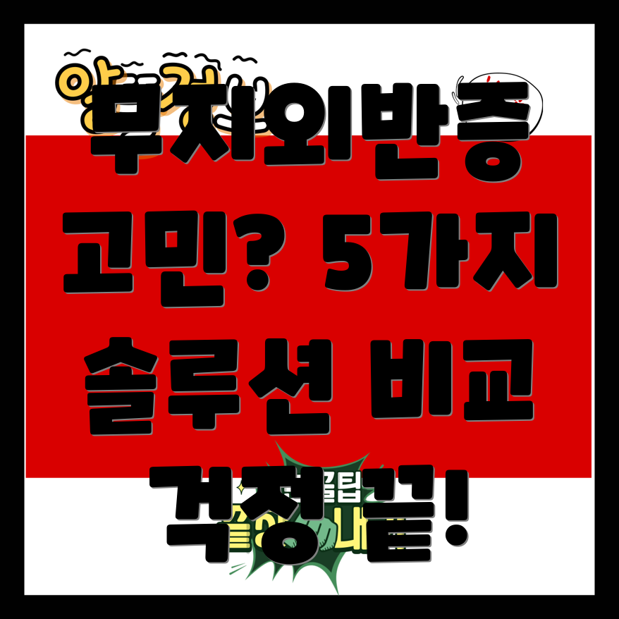 에버바디무지외반증이제걱정끝5가지솔루션비교분석