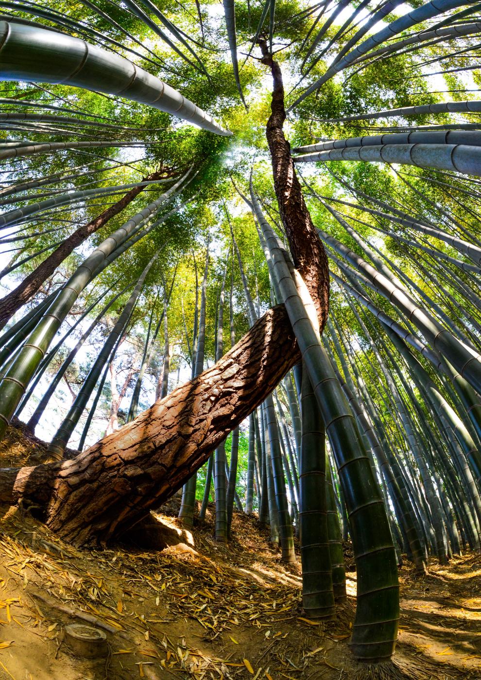 고창 가볼 만한 곳