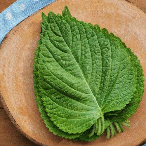 깻잎