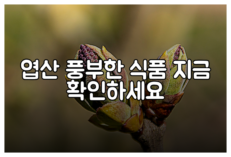 엽산 풍부한 식품 지금 확인하세요