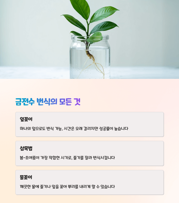 보석 금전수 잎꽂이