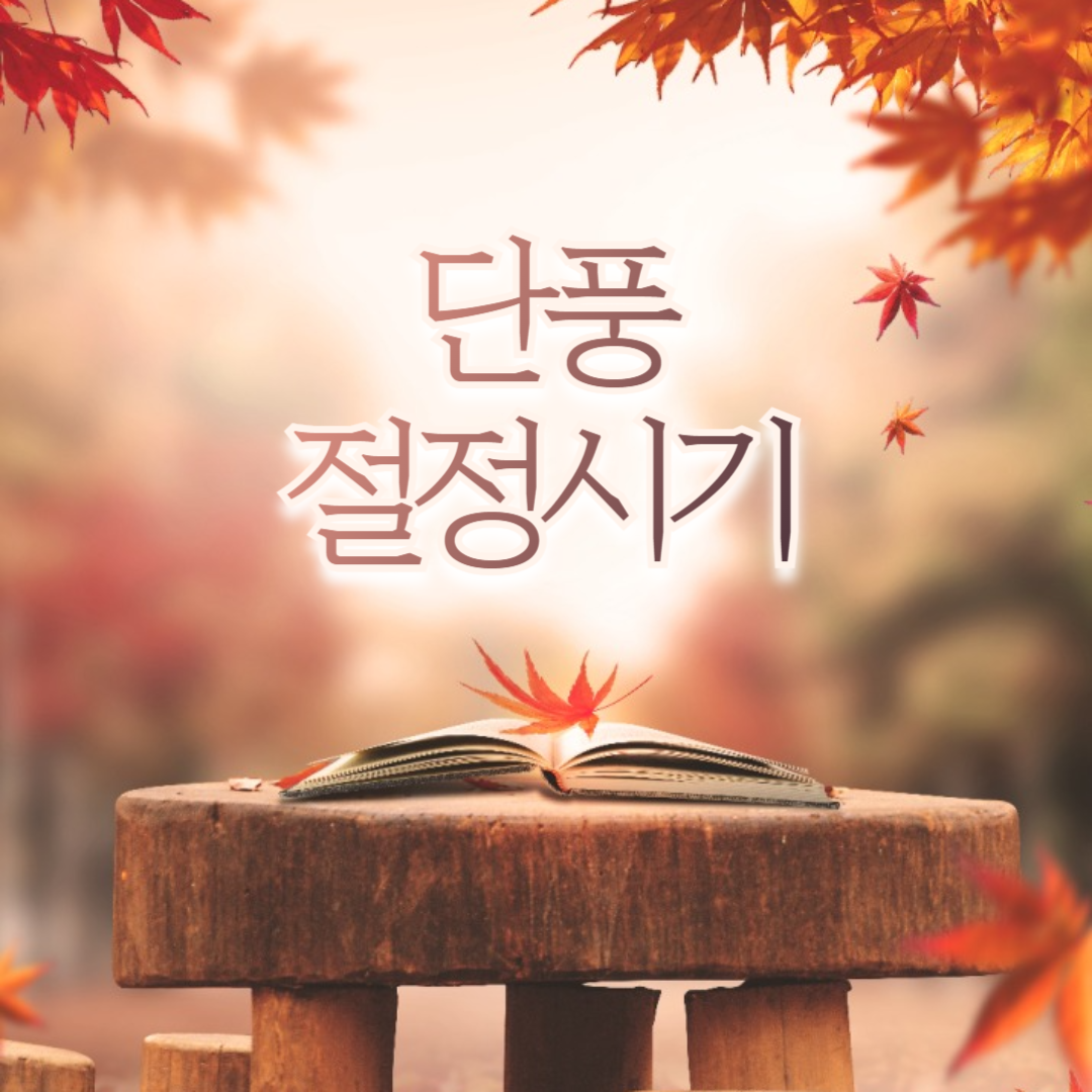 단풍절정시기