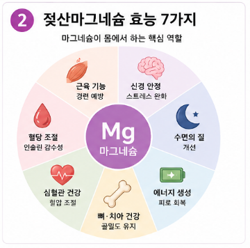젖산마그네슘-효능-뜻-부작용-영양제-추천