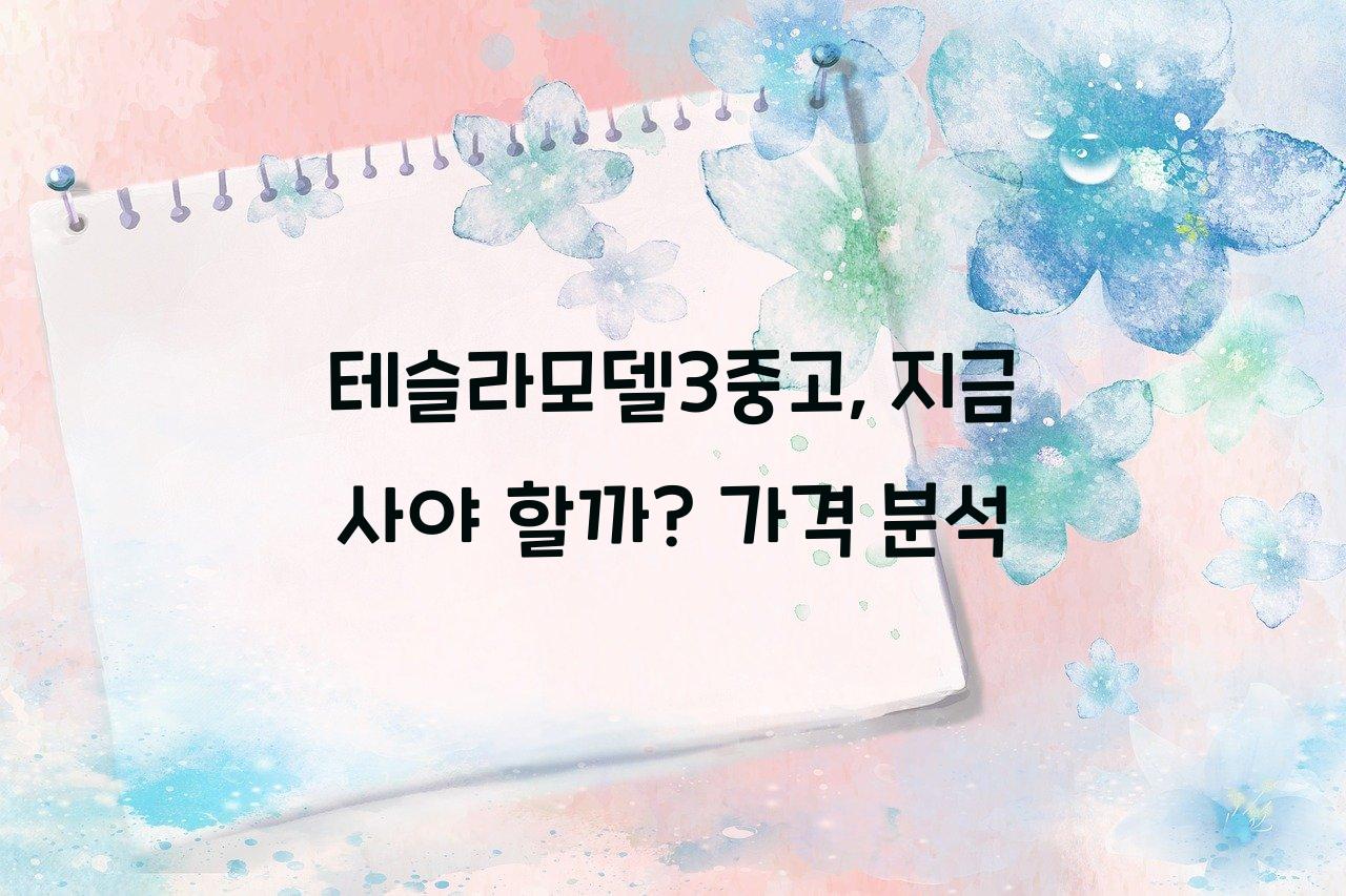 테슬라모델3중고