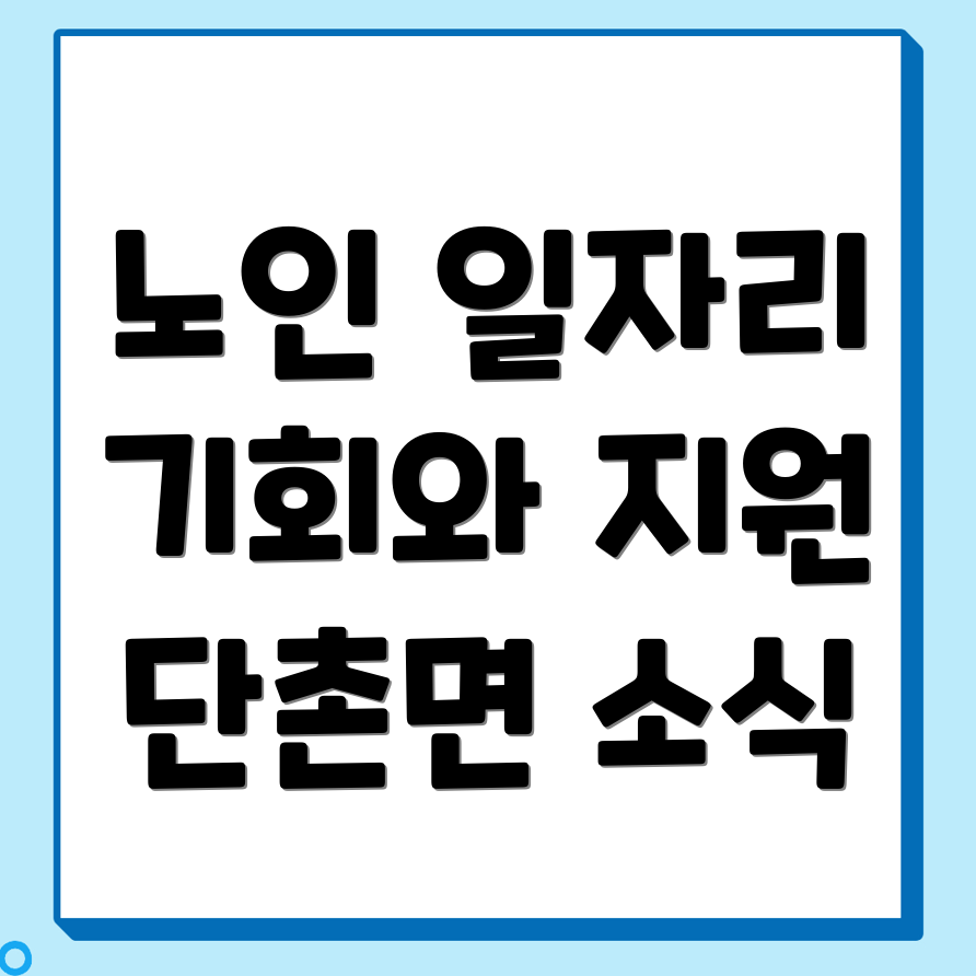노인 일자리