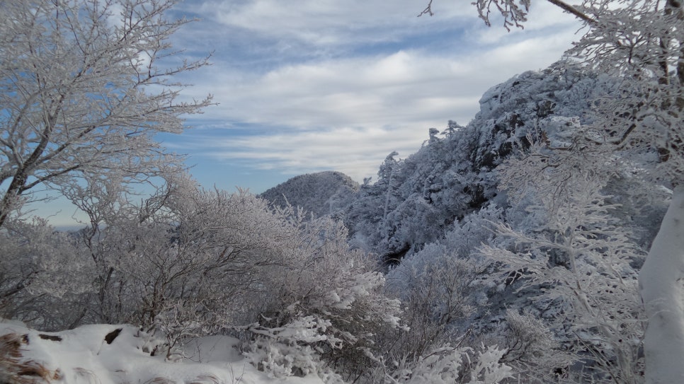 100대명산 등산하기 세번째 지리산(智異山) 은 대한민국을 대표하는 명산이자, 우리 민족의 정신이 깃든 산 남한의 최고 명산 천왕봉의 산