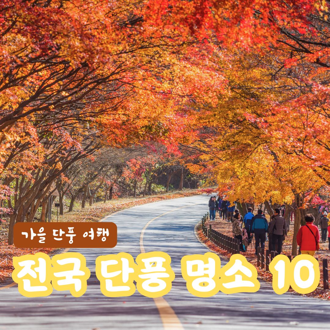 가을 단풍 관광 명소
