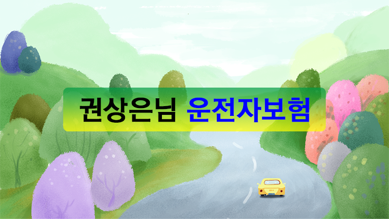 권상은님운전자보험