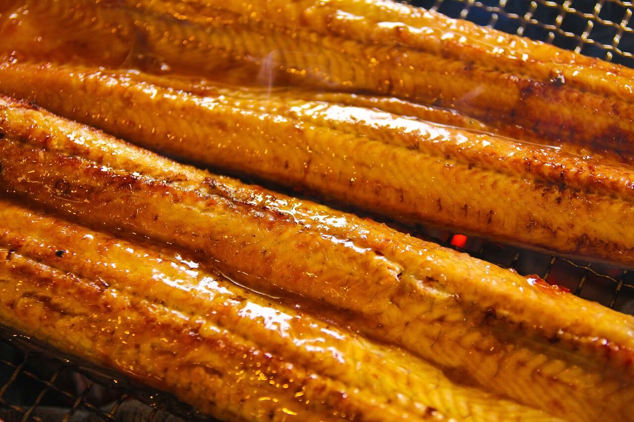 7월제철해산물