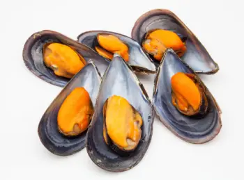 홍합 효능 및 영양성분&amp;#44; 가격