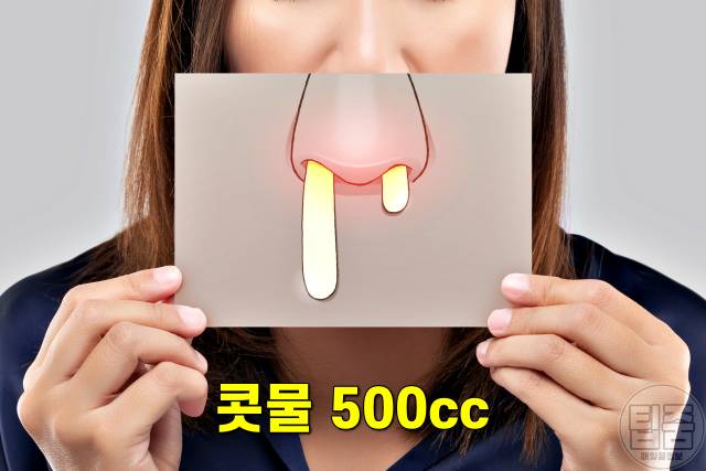 콧물 색깔별 증상,콧물 색깔로 보는 건강,비염 축농증