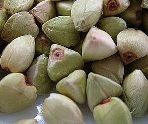 혈관에 좋은 음식 메멜