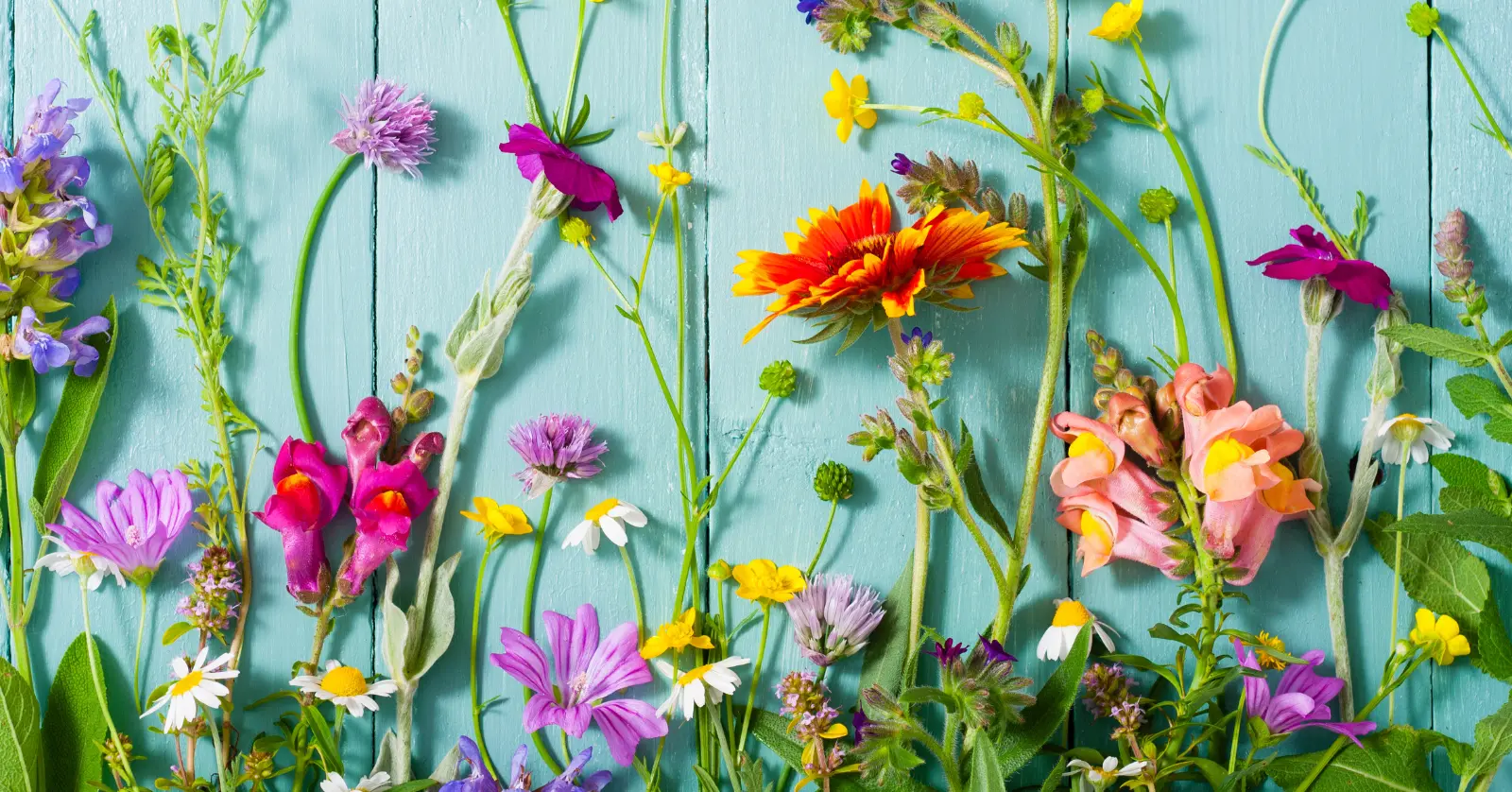 꽃이름 알려주는 어플