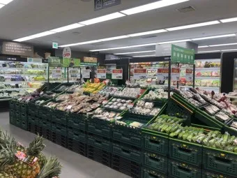 롯데프레시 영업시간 마포점 광주하남점_14